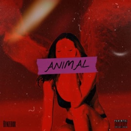 Animal Benzerkk