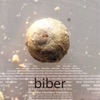 Biber