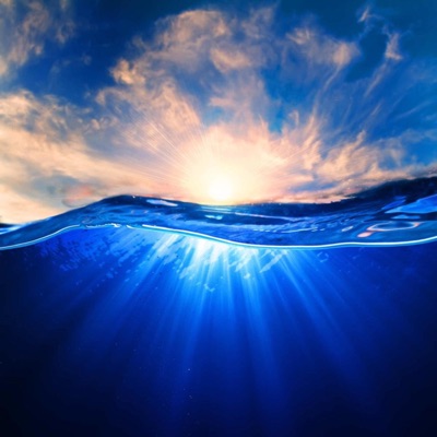 Clarity - Single