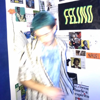 Felino - Single