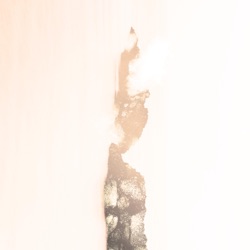 Antarctic Wastelands - Into Silence