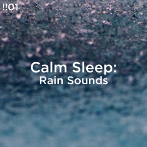 Calm Sleep: Rain Sounds