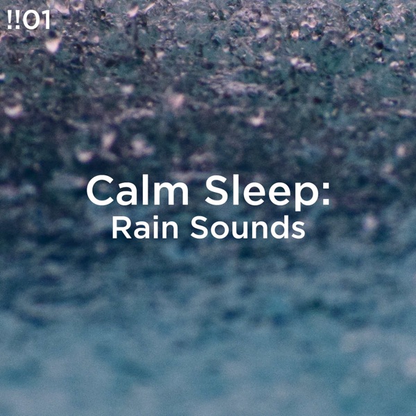 Calm Sleep: Rain Sounds