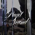 Field Report - Puget Sound