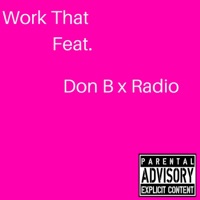 Work That (feat. Radio & Don B) - Single - Shykym