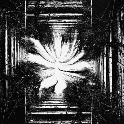 The Orchestra - Single