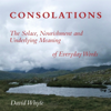 Consolations: The Solace, Nourishment and Underlying Meaning of Everyday Words (Unabridged) - David Whyte