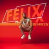 Felixx - Somebody