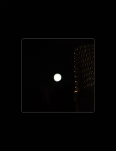 Posłuchaj wykonawcy Trip Gallery, obejrzyj teledyski, przeczytaj biografię, zobacz daty tras koncertowych i nie tylko!