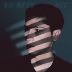 Joy - Single