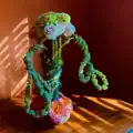 Human