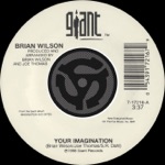 Brian Wilson - Your Imagination