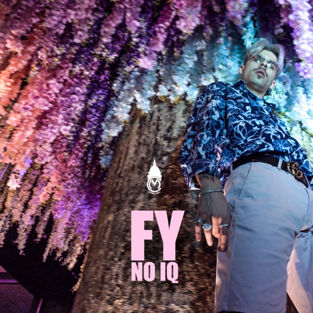 No IQ by FY — Song on Apple Music