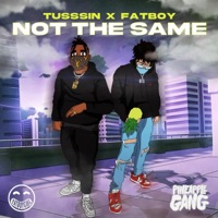 Not the Same (feat. Fatboy SSE) - Single - tússsin