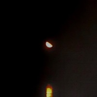 Etude in D - Single - Sanctiar