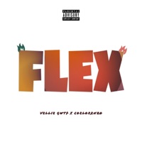 Flex (feat. CoeLorenzo) - Single - Vellie Gwtf
