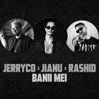 Banii Mei (feat. Jianu & Rashid) - Single - JerryCo