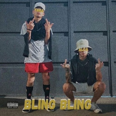 Bling Bling (feat. Y8N4) - Single