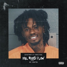 Mr. Biggs Flow Mic Sinatra