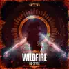 Re-Style - Wildfire