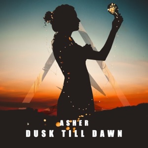 Dusk Till Dawn - Single