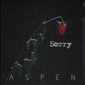 Aspen - Numbers