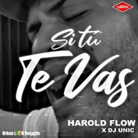 Si Tú Te Vas - Single - Harold Flow & DJ Unic