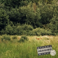 Starry Night - Single - imagiro