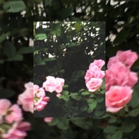 I Wish We Were Better - Single - .Uzu
