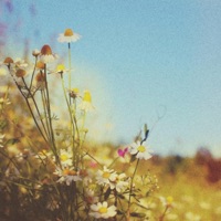 The Last Summer Like This - EP - Kayou.