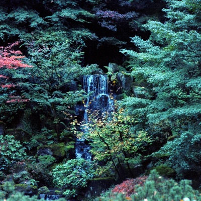 Garden - Single