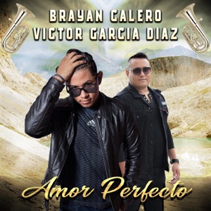 Amor Perfecto (feat. Victor Garcia Diaz)