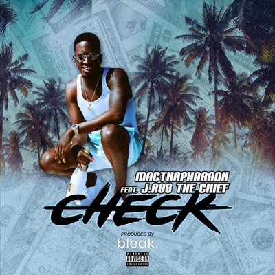 Check (feat. J.Rob the Chief) - Single