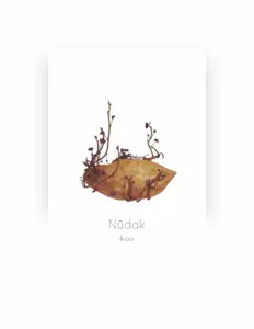 Listen to Nüdak, watch music videos, read bio, see tour dates & more!