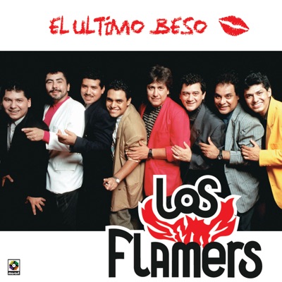 La Negra Zandunga - Los Flamers | Shazam