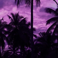 Nyári Flash - Single - Koliking