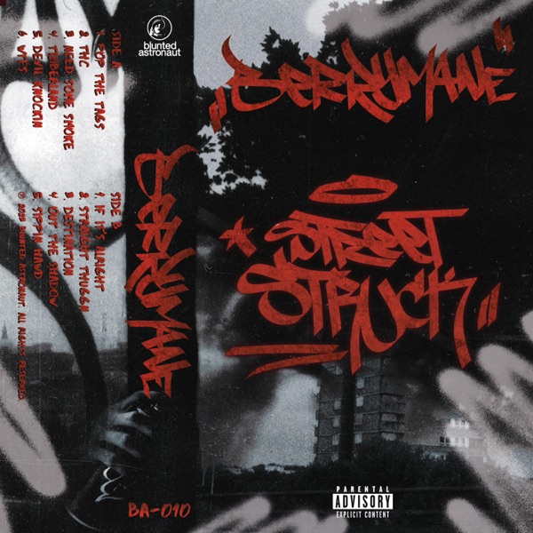 Street Struck