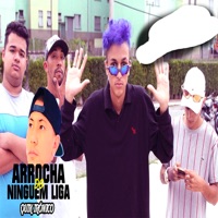 Arrocha do Ninguém Liga - Single - Quik Ironico