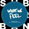 WHAT WE FEEL