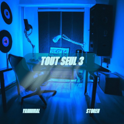 Tout Seul #3 (feat. Storen) - Single