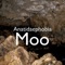 Moo - Anatidaephobia lyrics