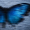 Mustafa Avşaroğlu - Listen to Your Heart