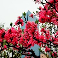 Lullaby - Single - Nothingtosay