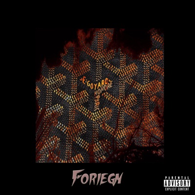 Foreign (feat. Ricky Moon) - Single