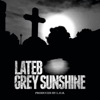 Grey Sunshine - Single