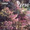 Perso (feat. Seviin & Willthewise) - Psol Int'l lyrics