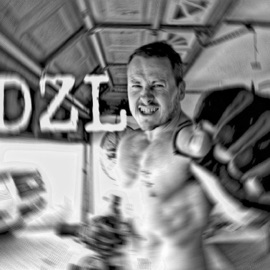 Disparage the Fairy Dzl1