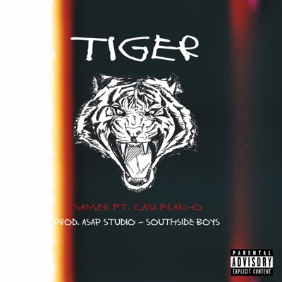 Tiger (feat. Casi Flak-O) - Single