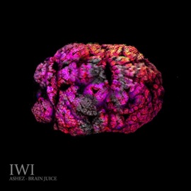 Brain Juice Ashez