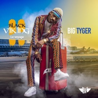 Black viking II (feat. Dibi Dobo, Teddy Benzo, Quincy Alfred, Paco Briz, Nix, Dychel, Young Ace, Zepho, Nestelia, Swagg Milly, Tris, Djou Gotto, Smarty, Black Ismo, Fiac Sy & Kporal Wisdom) - Big Tyger